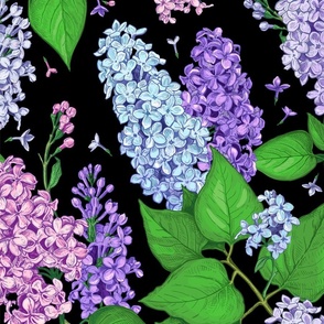 Pink, blue and violet flowers of Lilac on a black background_21inch