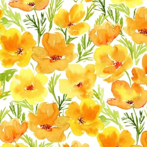 Watercolor California Poppies Floral