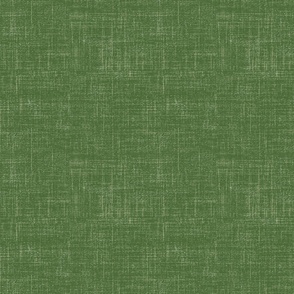 Textured linen solid coordinate- Green