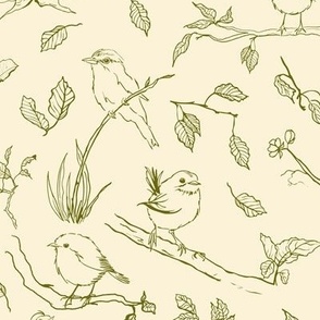 Bird Sketches Green