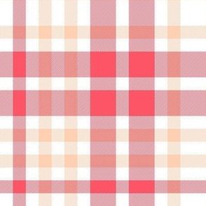 Thick and Thin Plaid in Pink and Peach