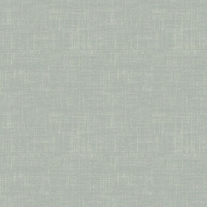 Textured linen solid coordinate- French grey