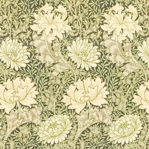Chrysanthemum 1877 - by William Morris - MEDIUM -  original olive  Antiqued art nouveau art deco paper background 
