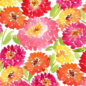 Watercolor Zinnias Floral