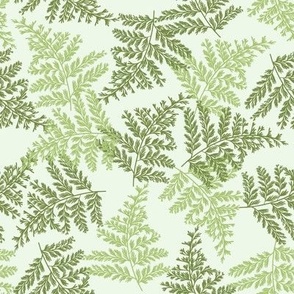 Green ferns, simple greenery ferns