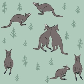 Kangaroos In Australian Woodland  - Animals Kangaroo - Gray Sage
