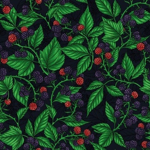 Blackberries on dark gray