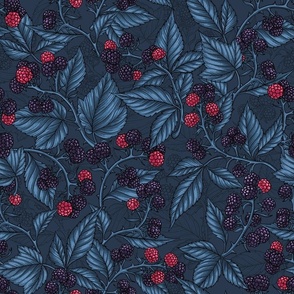 Blackberries on navy