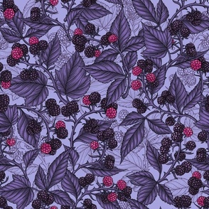 Blackberries on lilac