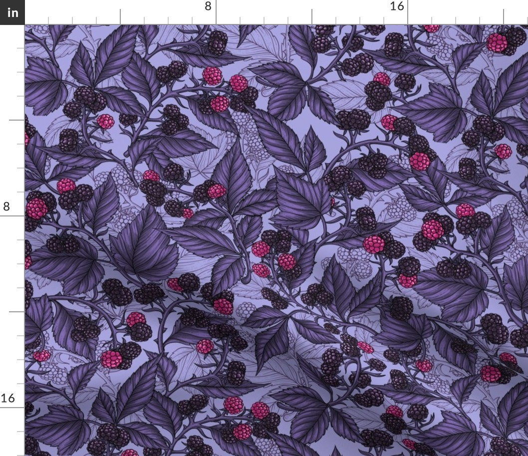 Blackberries on lilac