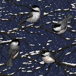 Chickadees in winter night