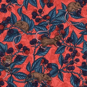 Mice and blackberries on red