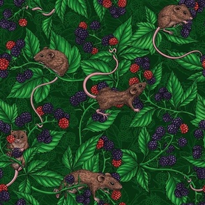 Mice and blackberries on dark green