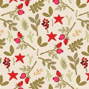 Rosehips and christmas stars on beige Small scale