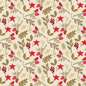 Rosehips and christmas stars on beige Extra small scale