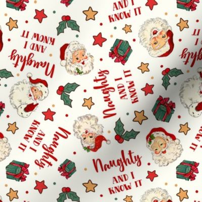Medium Scale Naughty and I Know It Sarcastic Santa Claus on Ivory