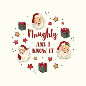 6" Circle Panel Naughty and I Know It Sarcastic Santa Claus for Embroidery Hoop Potholder or Quilt Square