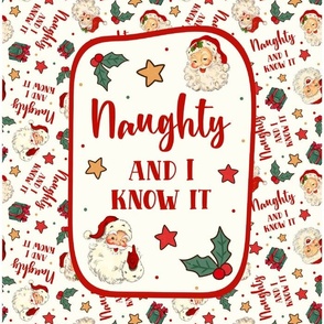 14x18 Panel Naughty and I Know It Sarcastic Santa Claus for DIY Garden Flag Small Kitchen Towel or Wall Hanging