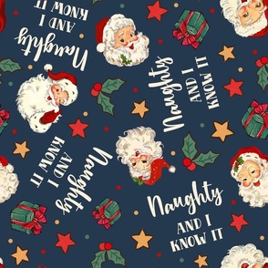 Large Scale Naughty and I Know It Sarcastic Santa on Navy