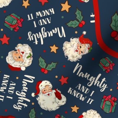 Large 27x18 Panel Naughty and I Know It Sarcastic Santa Claus for Tea Towel or Wall Hanging