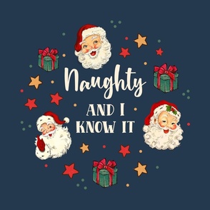  18x18 Panel Naughty and I Know It Sarcastic Santa Claus for DIY Throw Pillow or Cushion Cover 