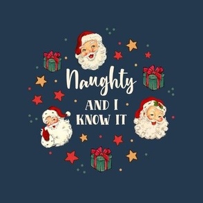  6" Circle Panel Naughty and I Know It Sarcastic Santa Claus for Embroidery Hoop Potholder or Quilt Square