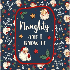  14x18 Panel Naughty and I Know It Sarcastic Santa Claus for DIY Garden Flag Small Kitchen Towel or Wall Hanging