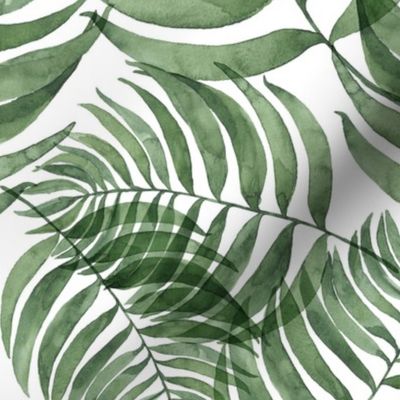 Watercolor green palm leaves on white