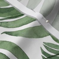 Watercolor green palm leaves on white