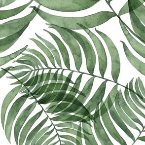 Watercolor green palm leaves on white