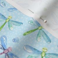 Medium Scale Dragonflies on Soft Blue Friendly Frog Coordinate