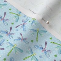Small Scale Dragonflies on Soft Blue Friendly Frog Coordinate
