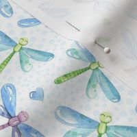 Medium Scale Dragonflies on White Friendly Frog Coordinate