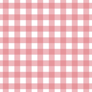 Gingham - Watermelon  - Large