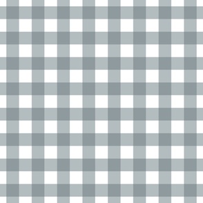 Gingham - Slate  - Large