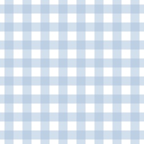 Gingham - Sky Blue  - Large