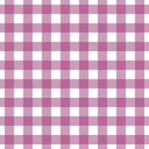 Gingham - Berry  - Large