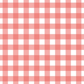 Gingham -Coral  - Large