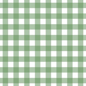 Gingham - Kelly Green  - Large