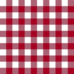 Buffalo Plaid Red And White