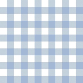 Buffalo Plaid Soft Blue And White