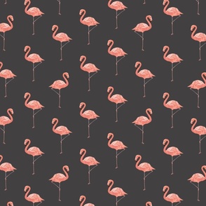 Pink Flamingo dark sml