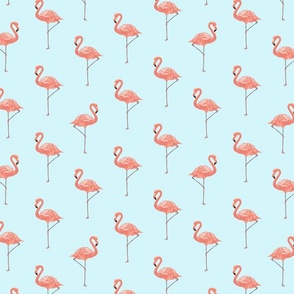 Pink Flamingos sky sml