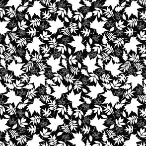Black Fall // Wild Berries // Normal Scale // Black Background // Black White // Monochrome vibe //
