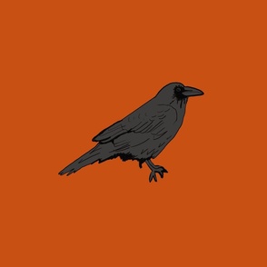 Raven on orange, 18 inch (or crow)