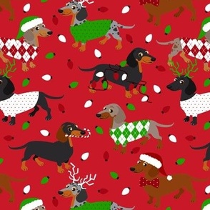 Christmas Dachshund All Coats Red
