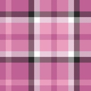 Nine Boxes Plaid in Pinks