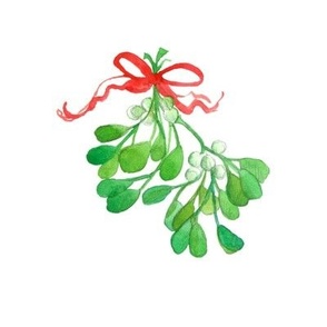 christmas mistletoe