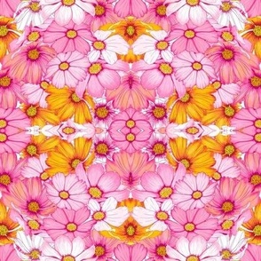 Chloris of Highland Garden - Pink