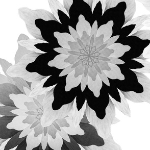 Bohemian Blooms Black and White I Large